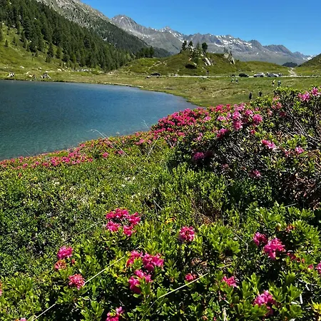Gaestehaus Schneeberger Habitación en casa particular *