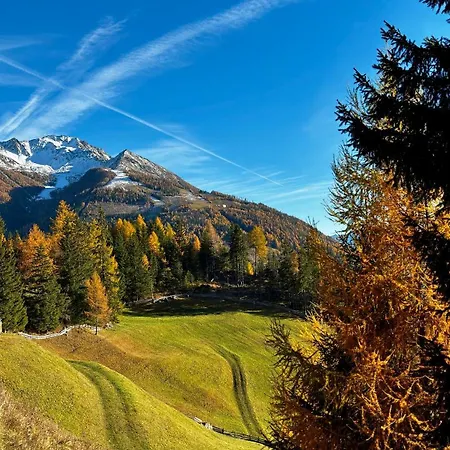 Gaestehaus Schneeberger Alloggio in famiglia *